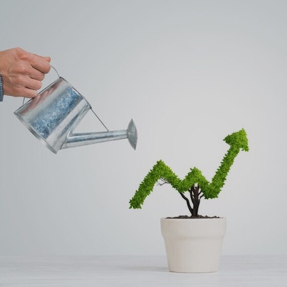 Optimisation référencement SEO