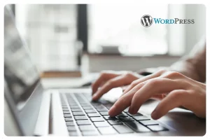 Expert WordPress Webmaster